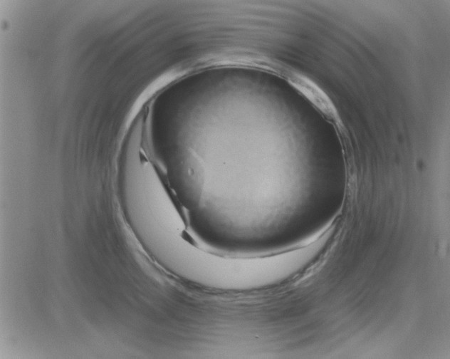 X0000084011146200703022024