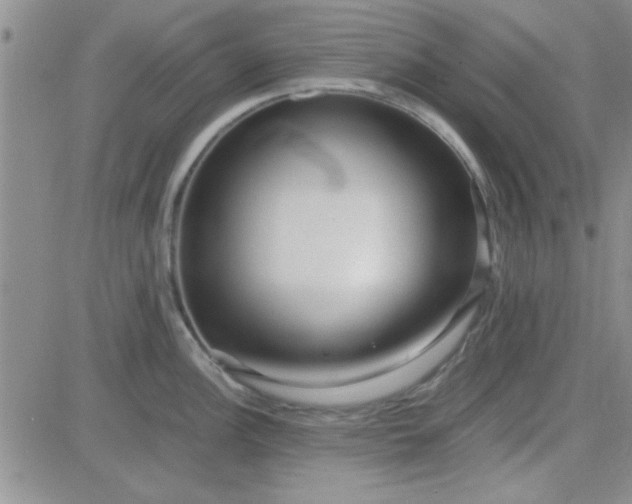 X0000084011148200703022024