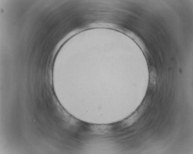 X0000084011150200703022024