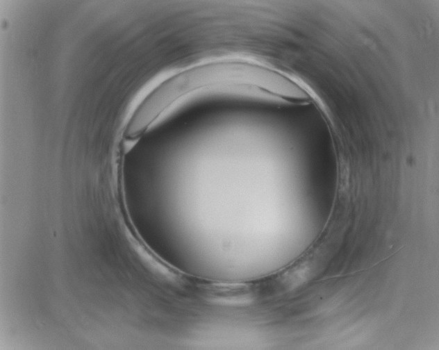 X0000084011151200703022025