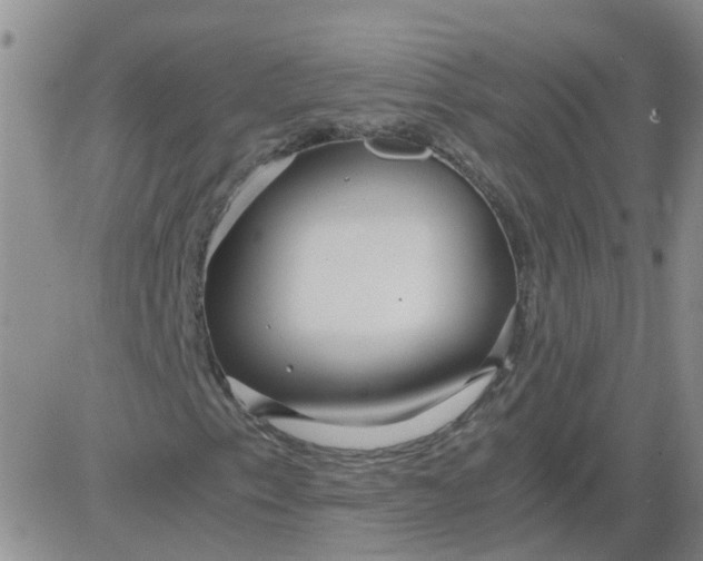 X0000084011153200703022024