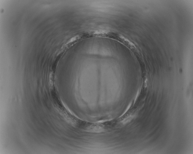 X0000084011156200703022024