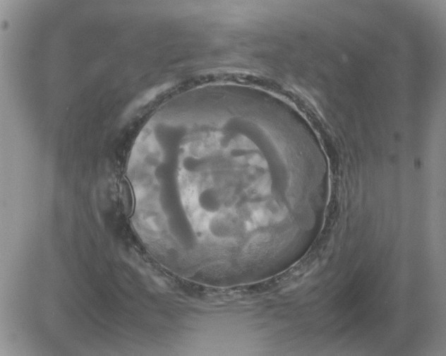 X0000084011159200703022024