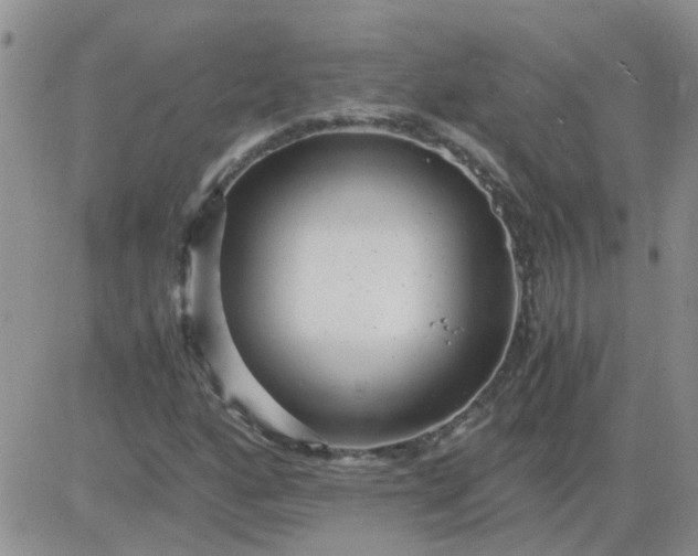 X0000084011160200703022024