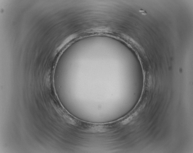 X0000084011162200703022024