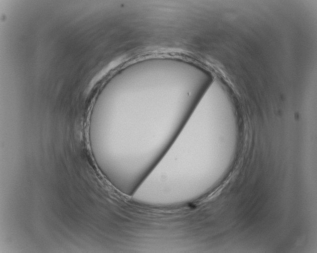 X0000084011165200703022024