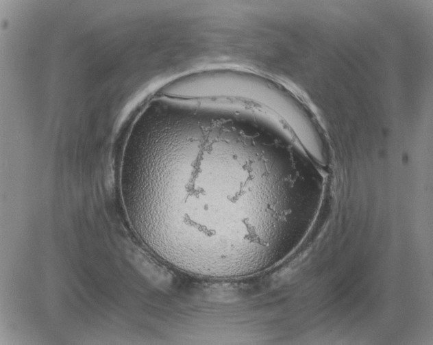 X0000084011167200703022023