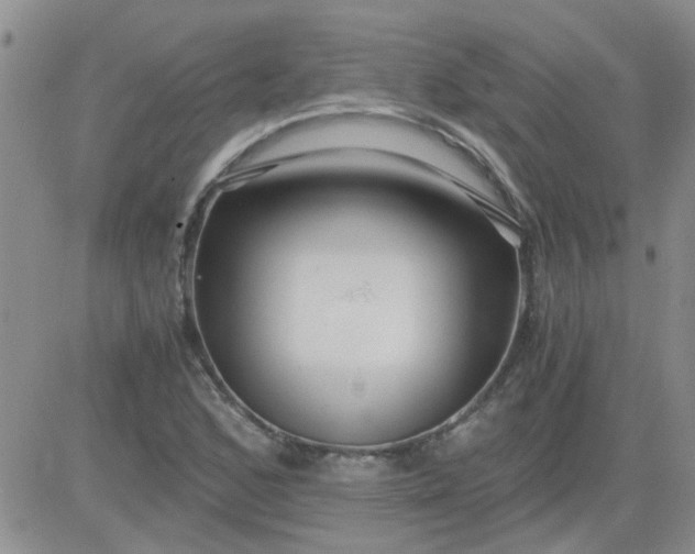 X0000084011168200703022023