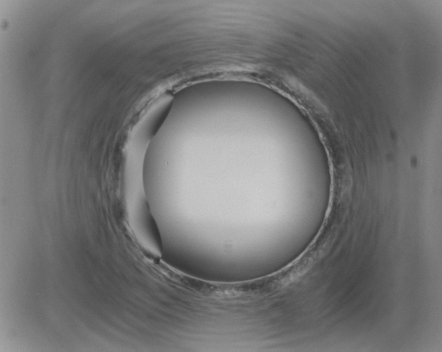 X0000084011169200703022023