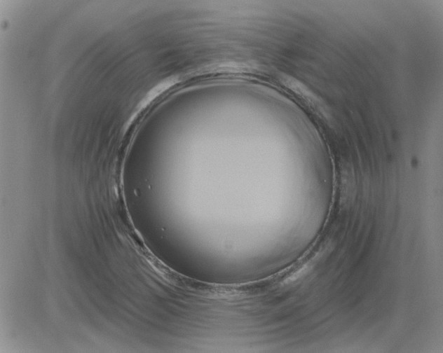 X0000084011170200703022023