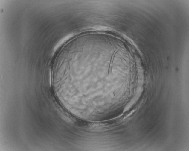 X0000084011171200703022023