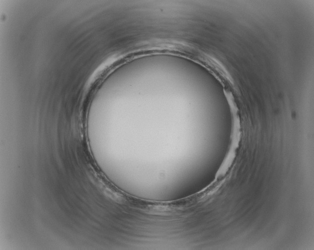 X0000084011172200703022023