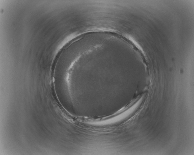 X0000084011173200703022023