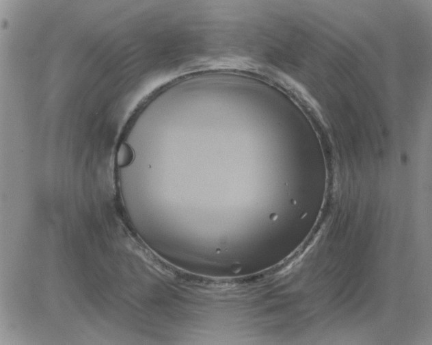 X0000084011174200703022023