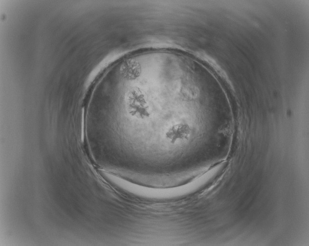 X0000084011175200703022023