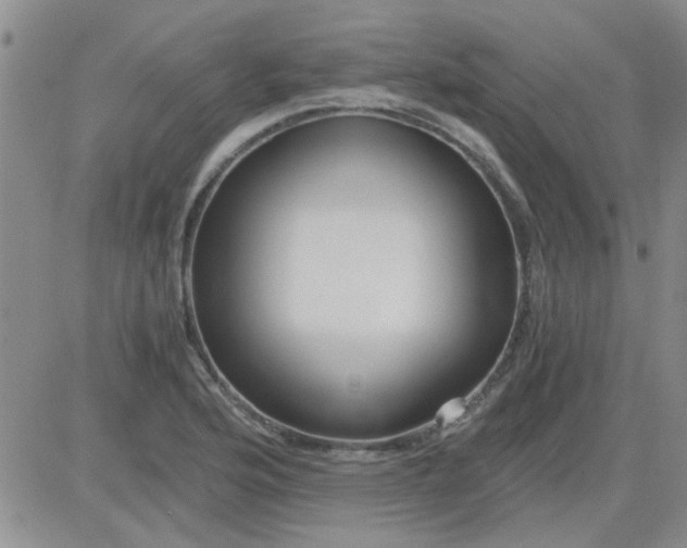 X0000084011176200703022023