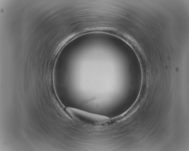 X0000084011177200703022023