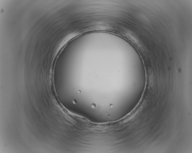 X0000084011178200703022023