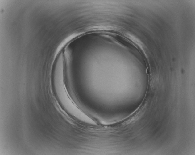 X0000084011179200703022023