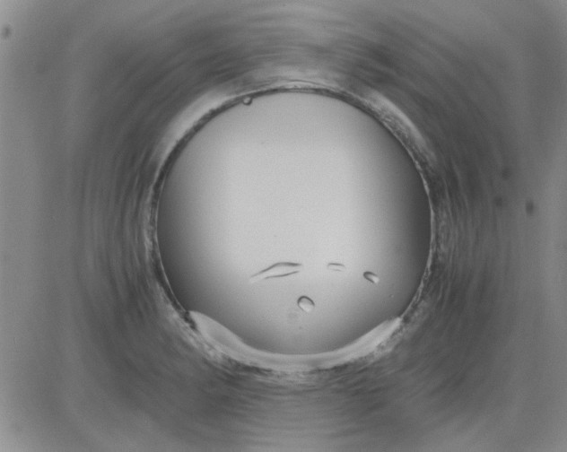 X0000084011182200703022023