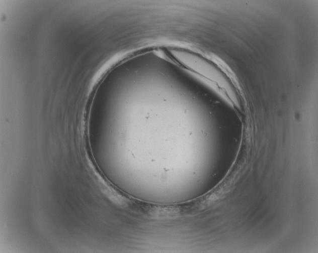 X0000084011183200703022023