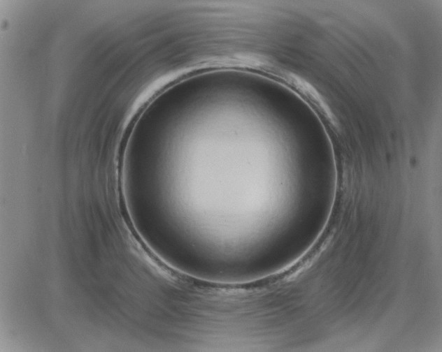 X0000084011184200703022023