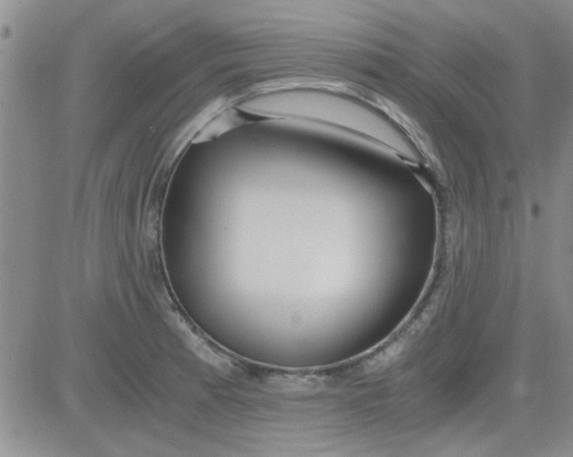 X0000084011185200703022023