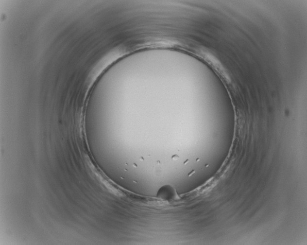 X0000084011186200703022023