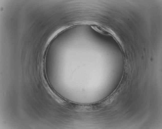 X0000084011187200703022023