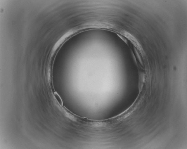 X0000084011188200703022023