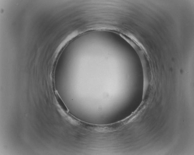 X0000084011189200703022023