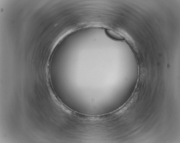 X0000084011190200703022023