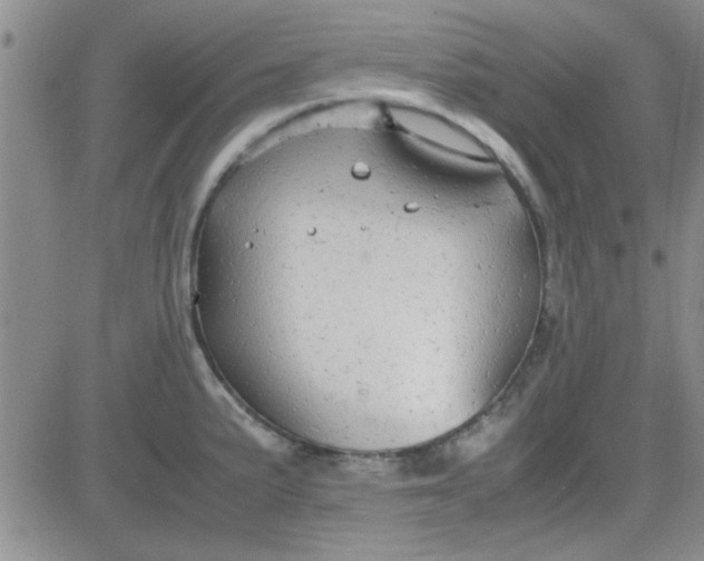 X0000084011191200703022023