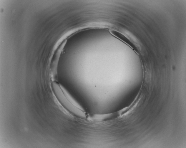 X0000084011192200703022023