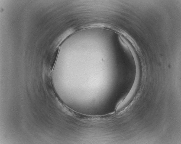 X0000084011193200703022023