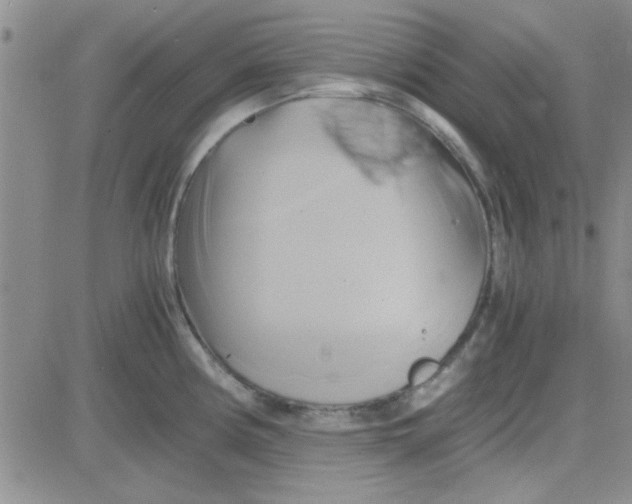 X0000084011194200703022023