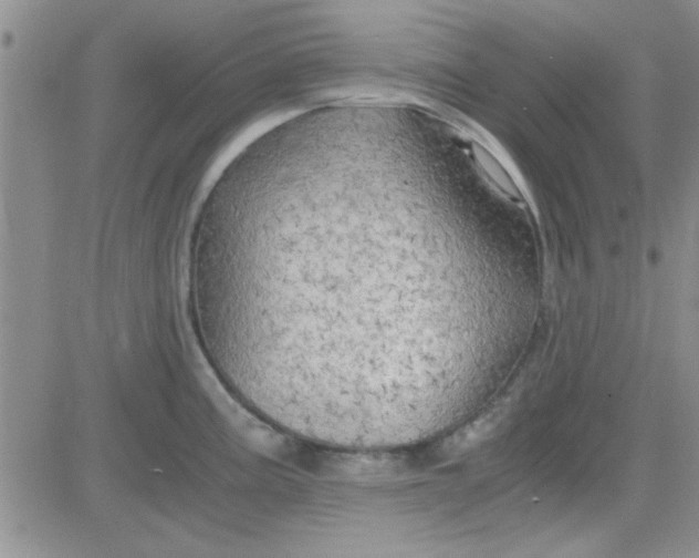 X0000084011195200703022023