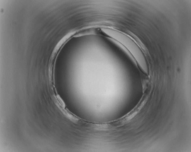 X0000084011196200703022023