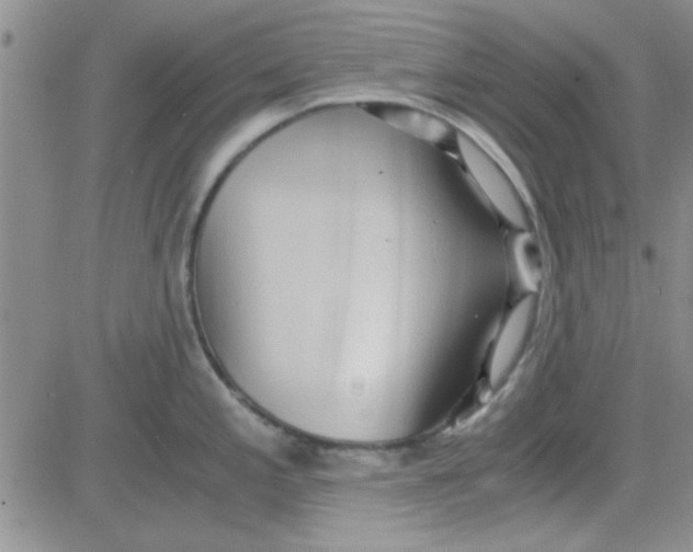 X0000084011197200703022023