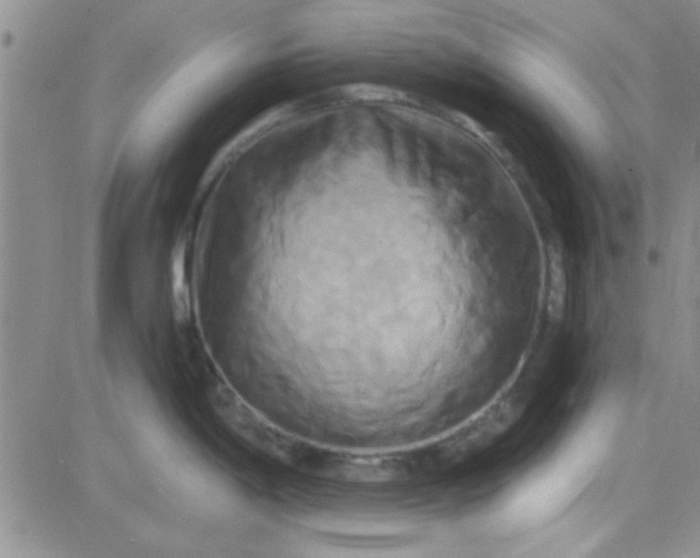 X0000084011198200703022023