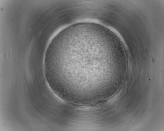 X0000084011199200703022023