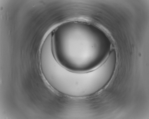 X0000084011200200703022023