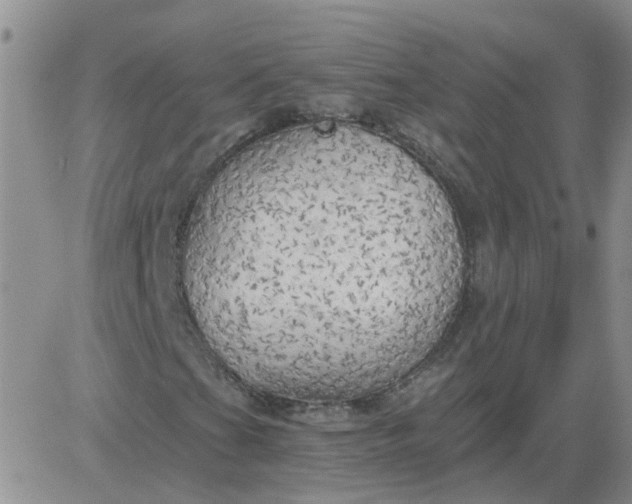 X0000084011201200703022022