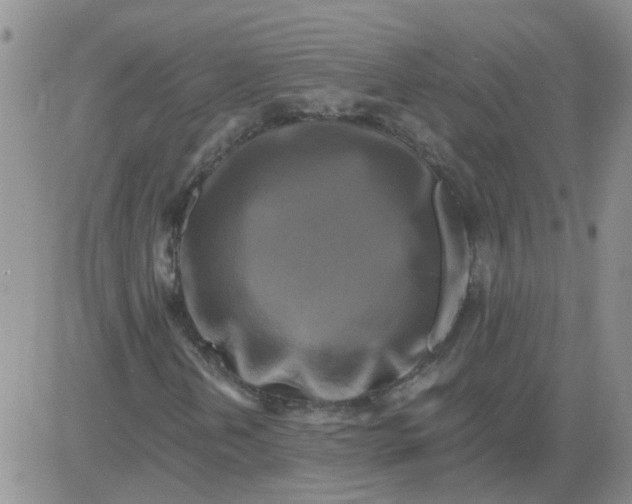 X0000084011202200703022022