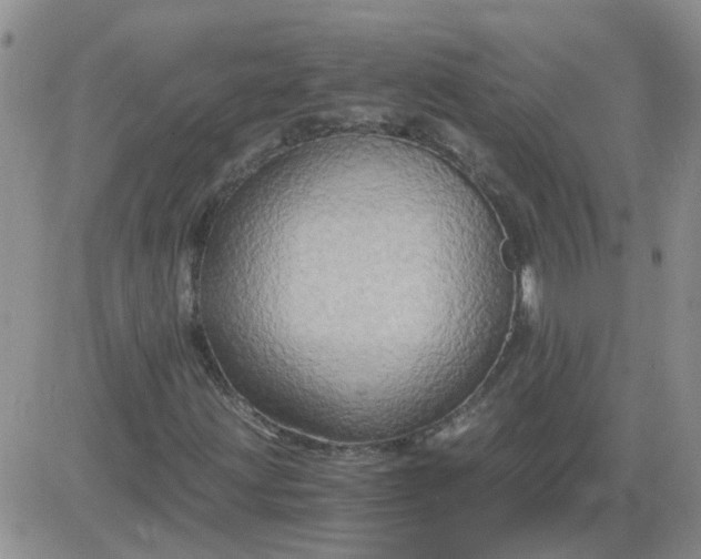 X0000084011203200703022022