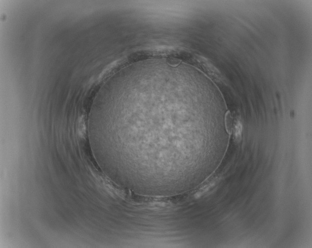 X0000084011204200703022022