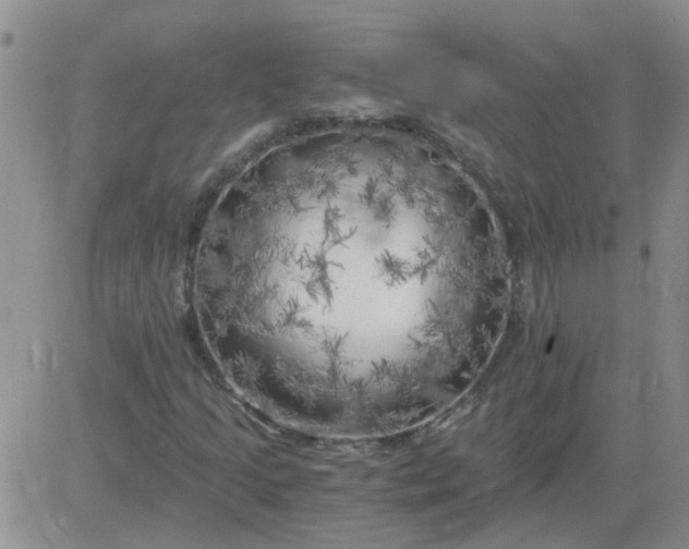 X0000084011205200703022022