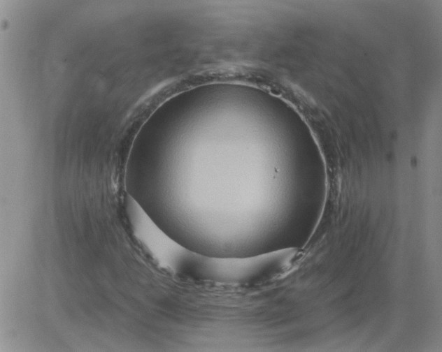 X0000084011206200703022022