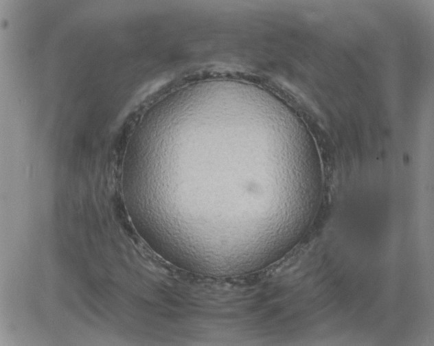 X0000084011207200703022022