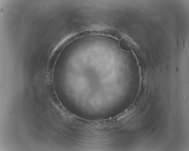 X0000084011208200703022022